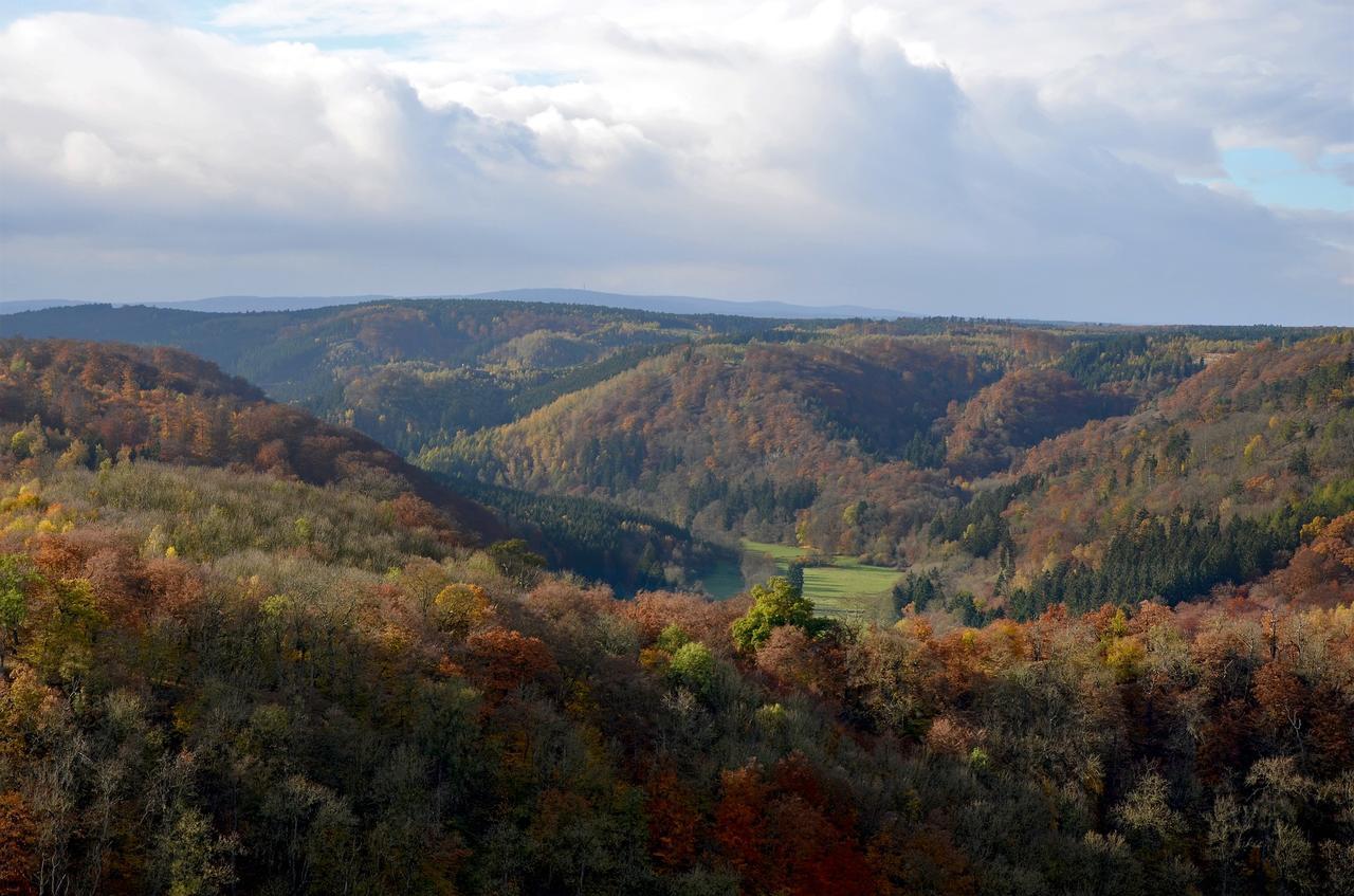 Das Tann Rooms & Wine Thale Buitenkant foto